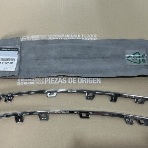 960102709R ÖN PANJUR NİKELAJI